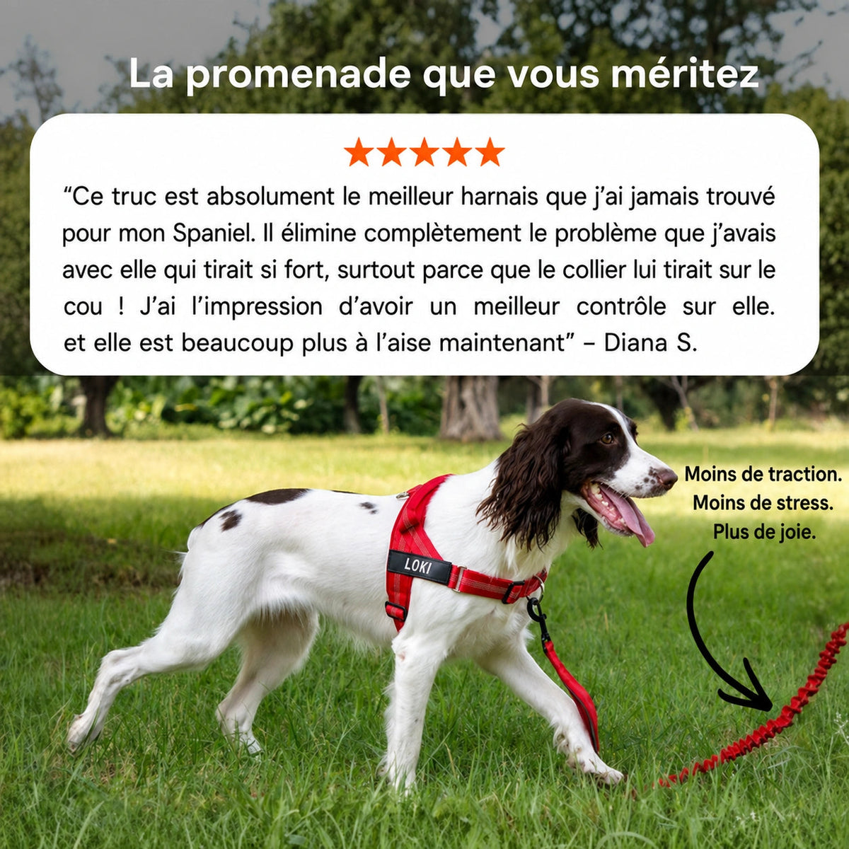 Harnais anti-traction pour chien Homyria Homyria