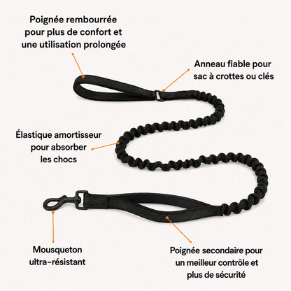 Harnais anti-traction pour chien Homyria Homyria