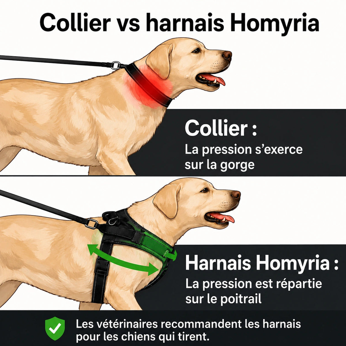 Harnais anti-traction pour chien Homyria Homyria