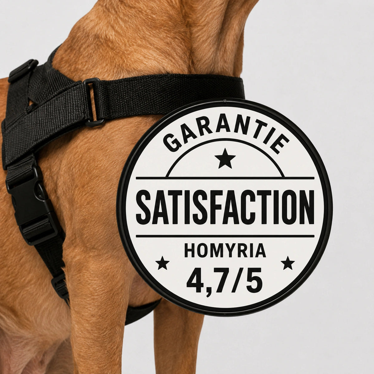 Harnais anti-traction pour chien Homyria Homyria