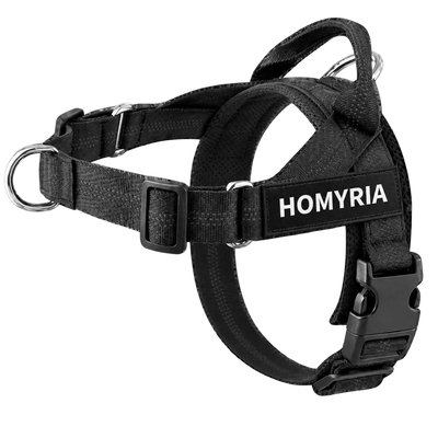 Homyria