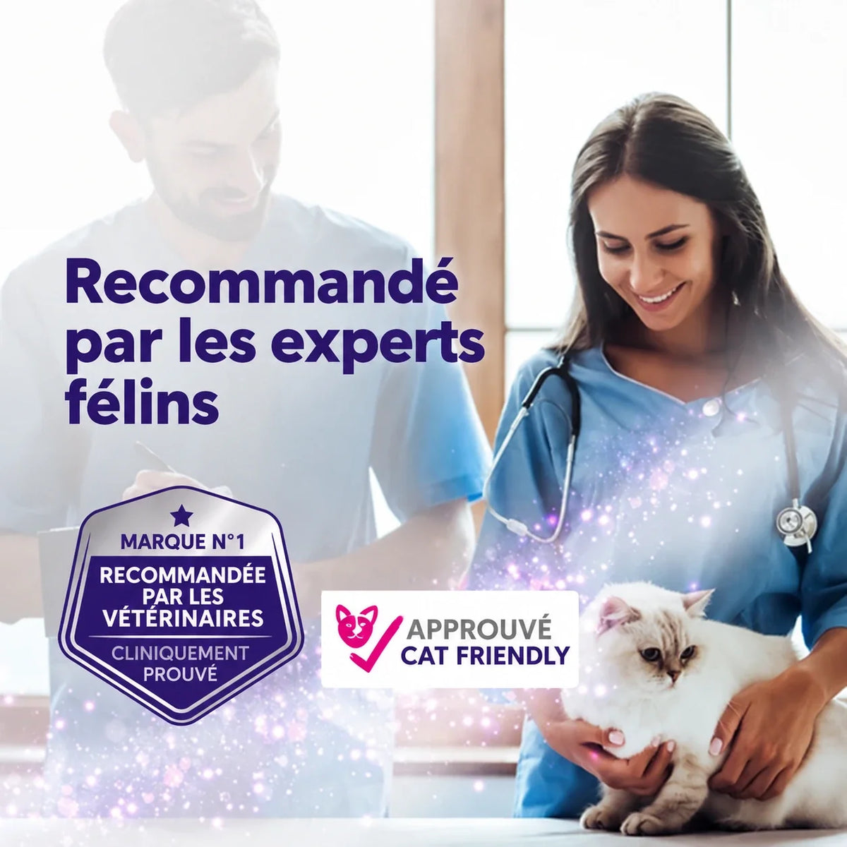 Recommandé par les experts félins