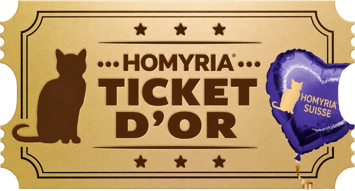 Partez à la chasse au ticket d’or !
