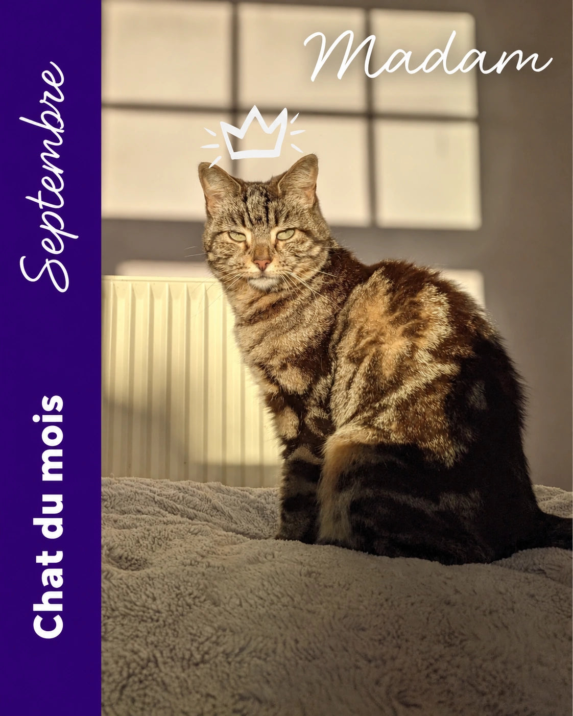 La chatte du mois de septembre