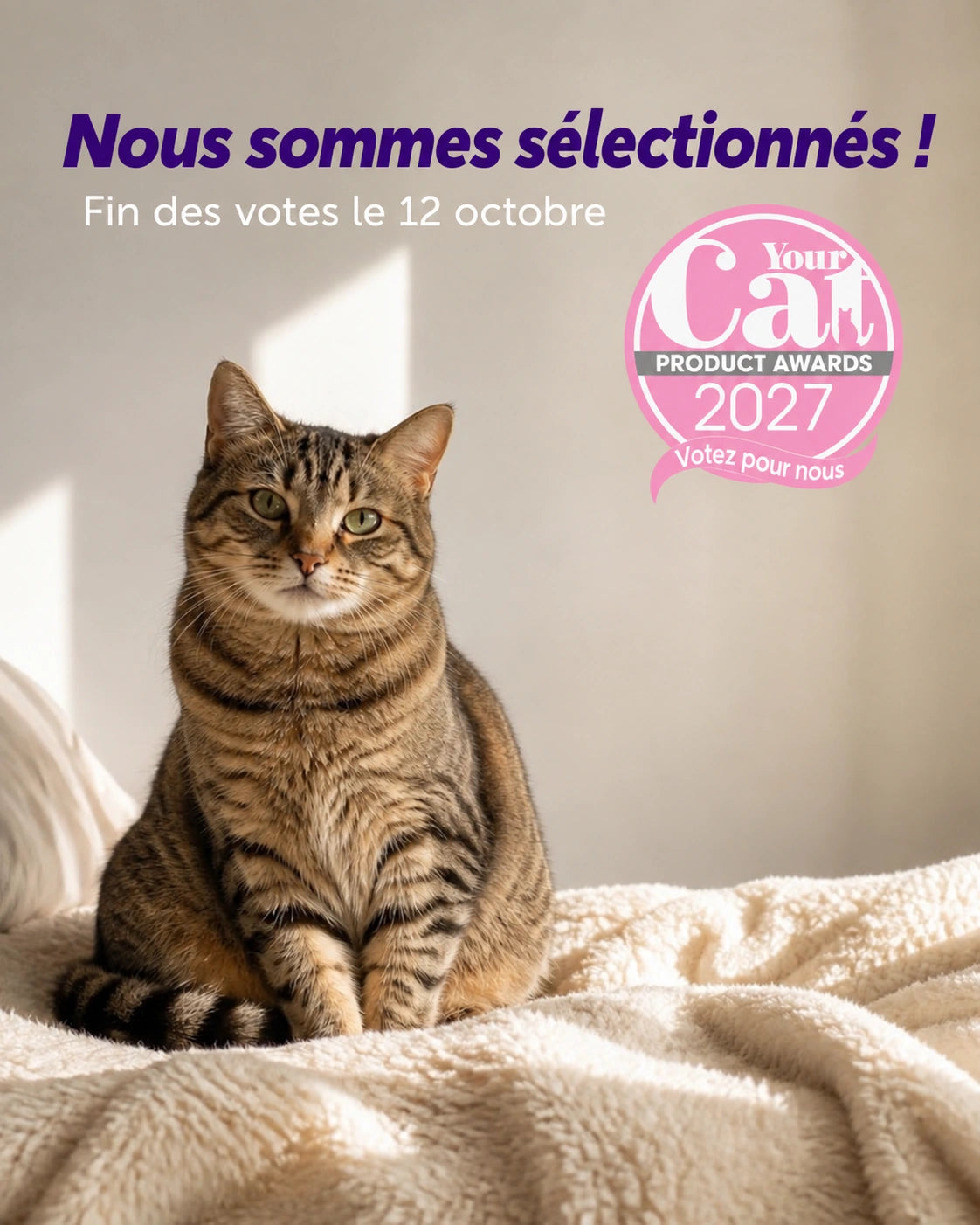 Prix des produits pour chats