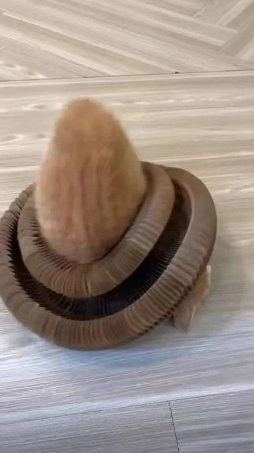 Chat qui joue avec le lit griffoir Homyria