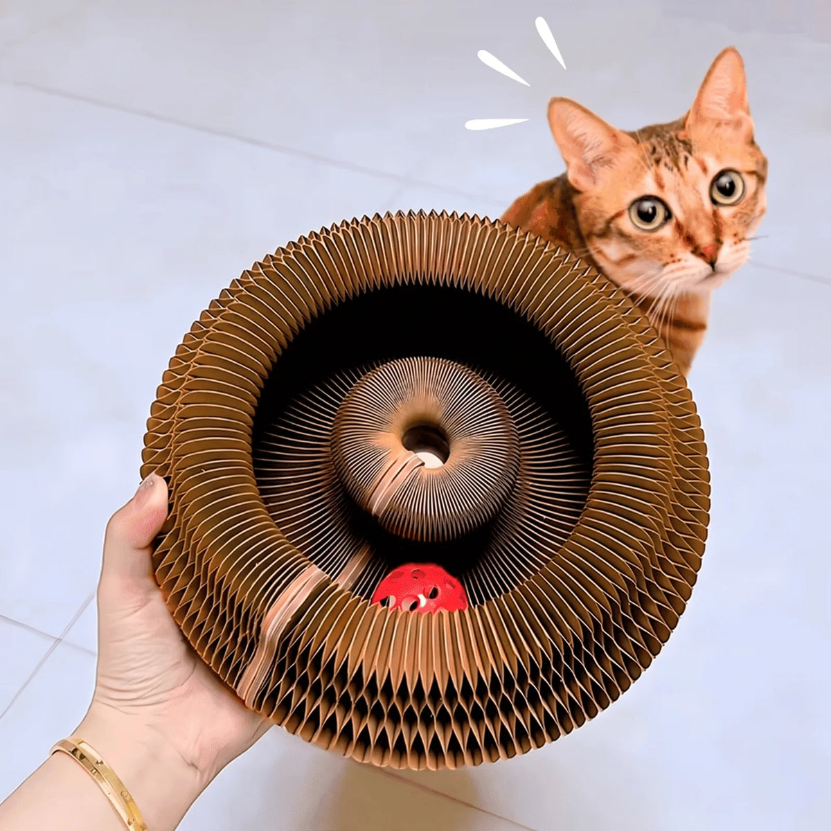 Lit griffoir et de jeu Homyria pour chat