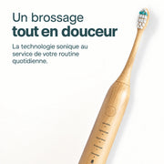 Brosse sonique en bambou avec bouton rond et cinq modes de brossage