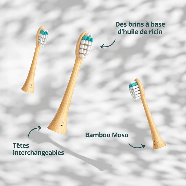 Têtes de rechange pour brosse sonique Homyria