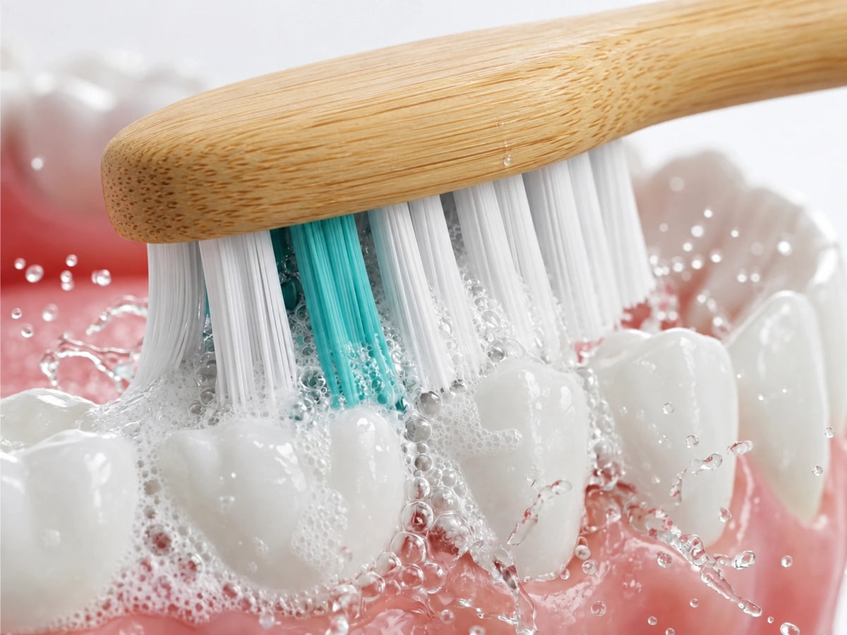 Gros plan des brins de la brosse sonique sur les dents