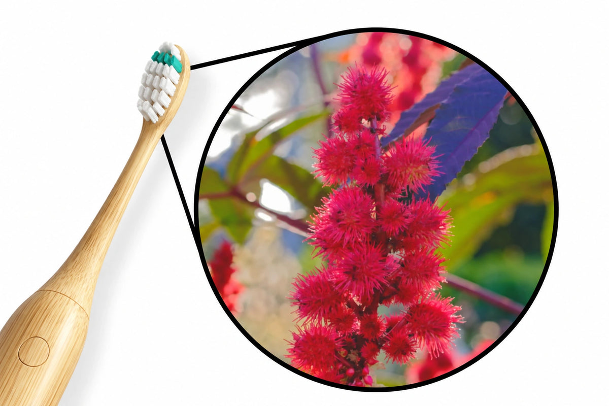 Tête en bambou et plante de ricin