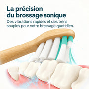Tête en bambou et brins blancs et verts pendant le brossage sonique