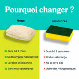 Homyria — comparaison des éponges
