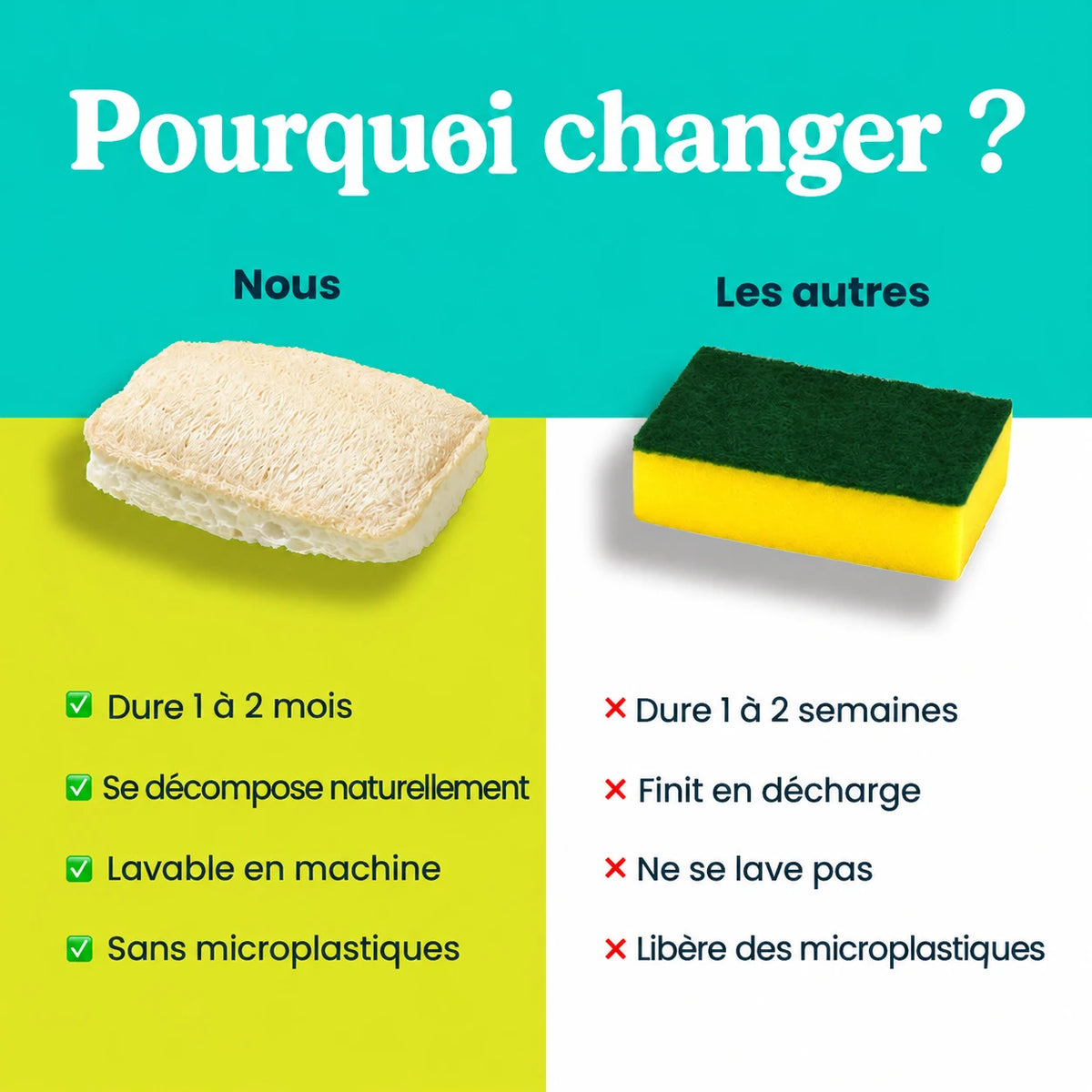 Homyria — comparaison des éponges