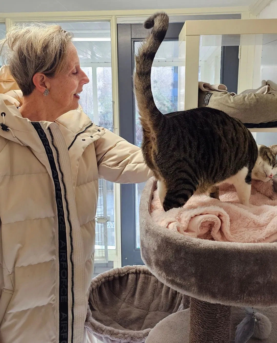 Soutenir les refuges pour chats