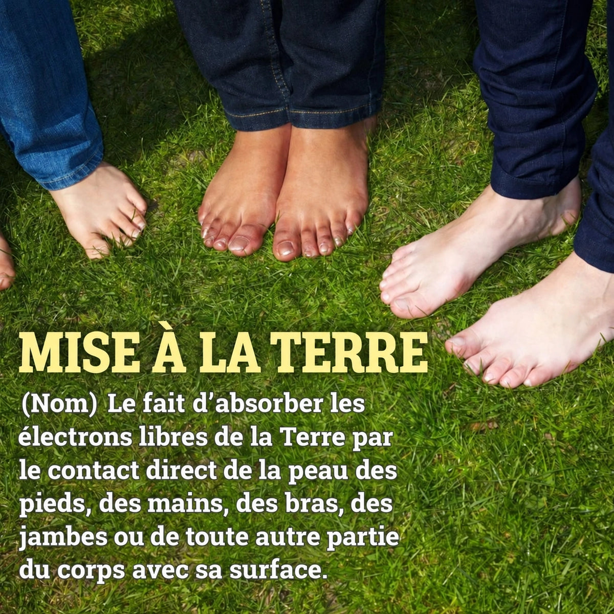 definition mise a la terre
